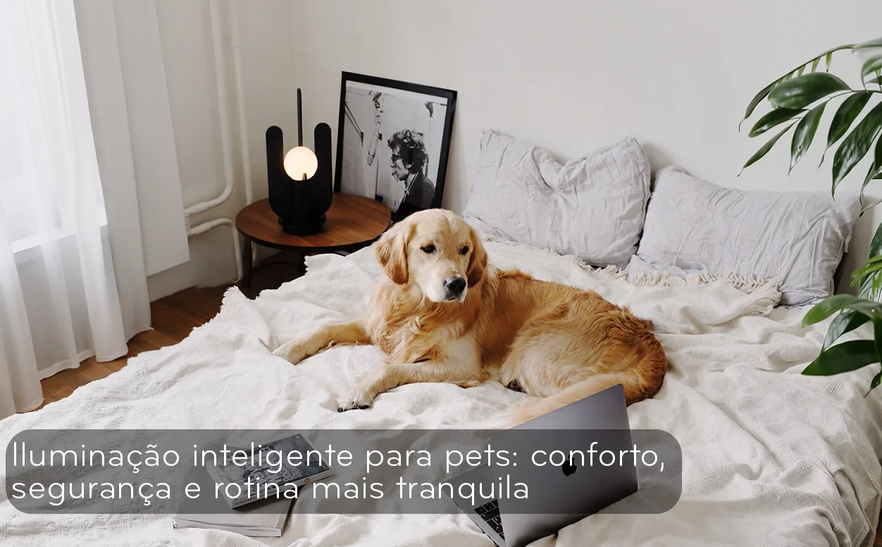 Iluminação inteligente para pets.