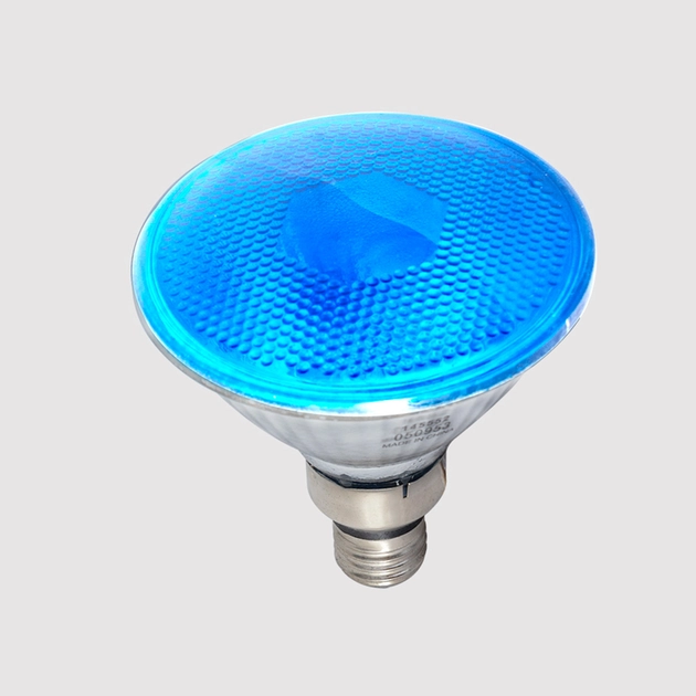 Lampada Par38 80w 220v