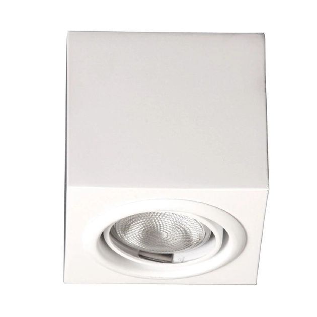 Plafon Sobrepor Orientavel Aluminio Par20 7w