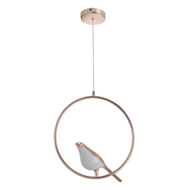 Pendente Led Ferro Acrilico Dourado 6w 3000k Bird