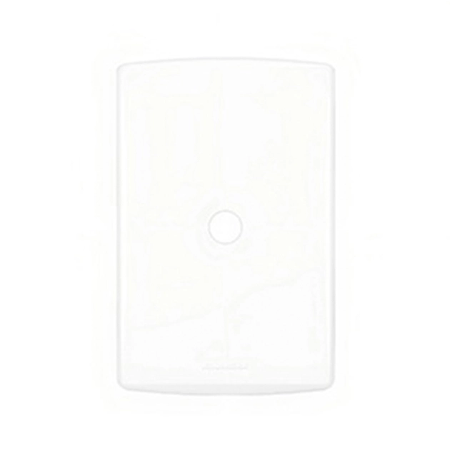 Placa Cega 4x2 Com Suporte Branco Bianco Pro