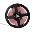 Fita Led 10w Por Metro 12v 6500k 5m Irc80 Value