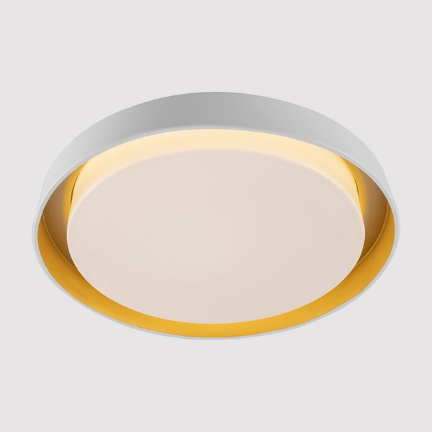 22463_plafon-led-25w-