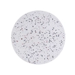 Arandela Led Granilite 12w 3000k 30cm Terrazzo - BRANCO