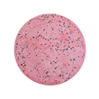 Arandela Led Granilite 12w 3000k 30cm Terrazzo - ROSA